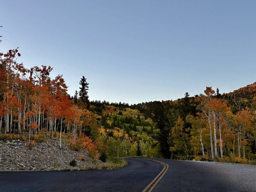 Great Basin National Park Fall Color